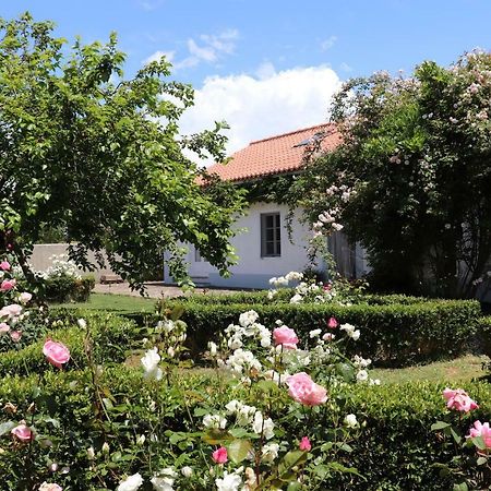 Hotel Monte Dos Papa Figos São Teotónio Exteriér fotografie